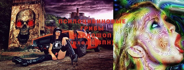 jwh Богородск