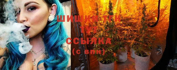 твердый Белокуриха