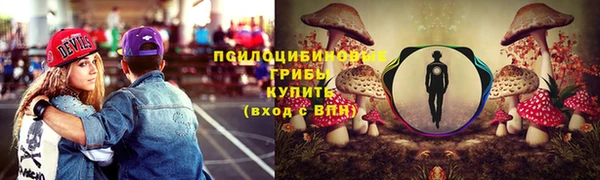 твердый Белокуриха