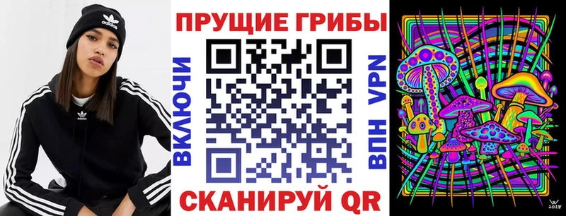 Галлюциногенные грибы Psilocybine cubensis  купить   Сковородино 
